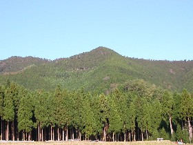 富沢県有林（智頭町）の写真