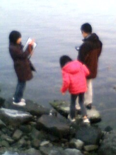 湖岸で調査