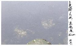 濁った水