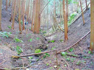 雨水により表土が流失