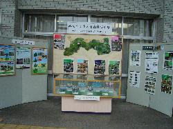 展示状況全景