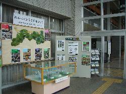 展示の様子