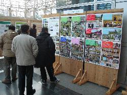 展示状況