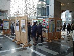 展示状況