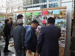 展示状況