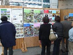 展示状況