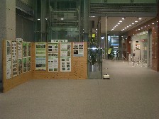 展示の様子