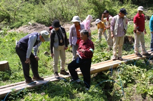 サクラソウ現地見学