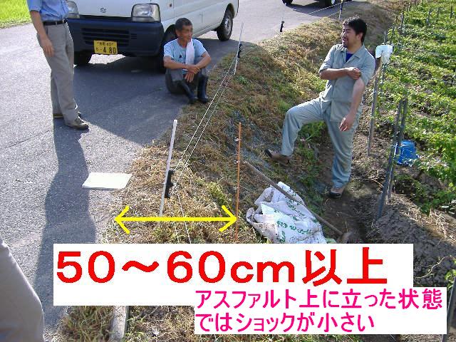 舗装道路からの距離