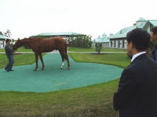 訪問