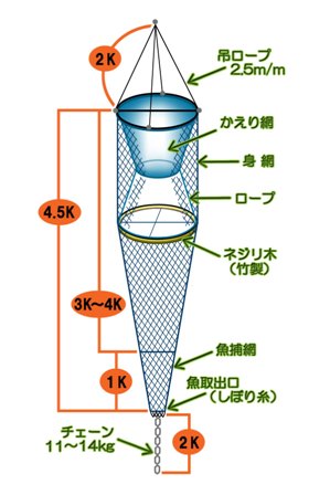 網の構造