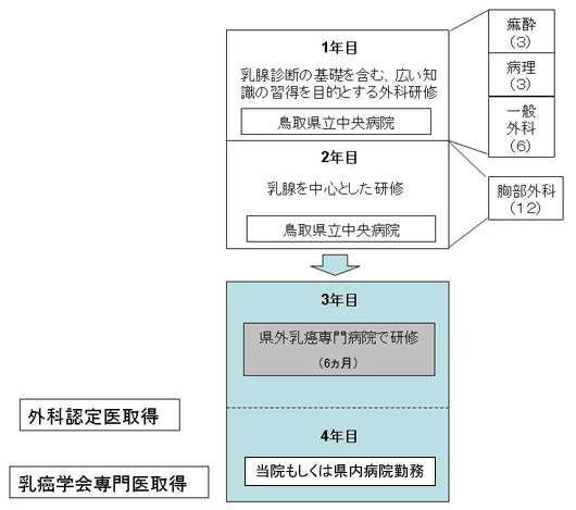 選択コース計画の図