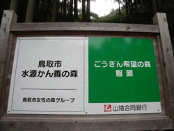 活動の様子