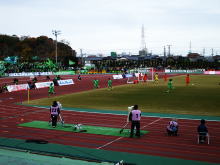 応援観戦