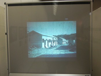 展示風景の写真（その4）