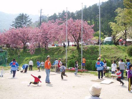 ４月桜祭り