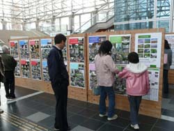 展示状況