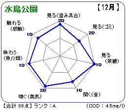 水鳥公園(12月)
