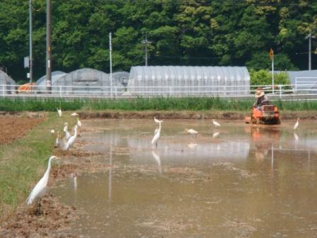 湯梨浜町原