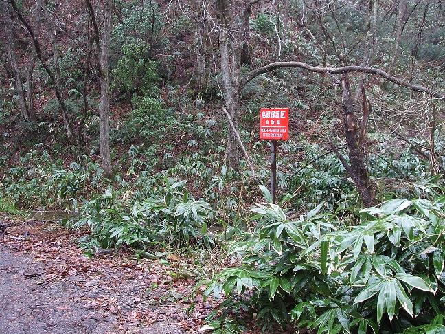制札板