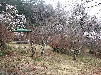 公園内