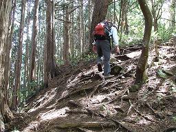 宝仏山登山道２