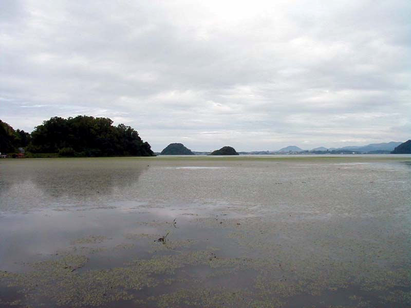 湖山池写真２枚目