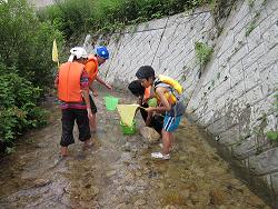 川の生き物探し