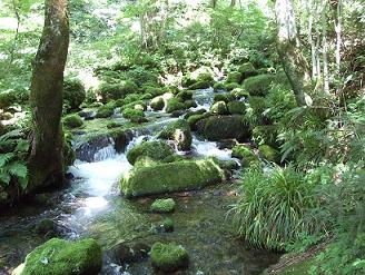 木谷沢１