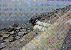 image004.gif