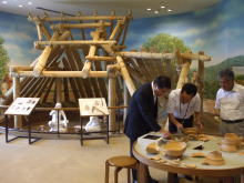 視察