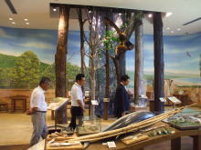 視察