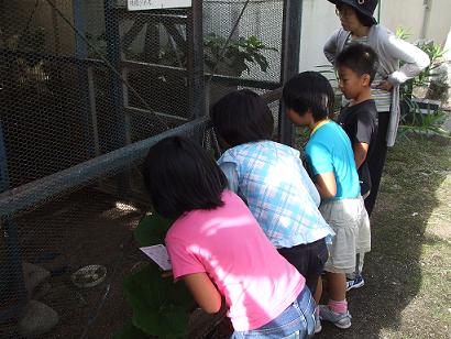 鳥の鳴き声は聞けるかな？