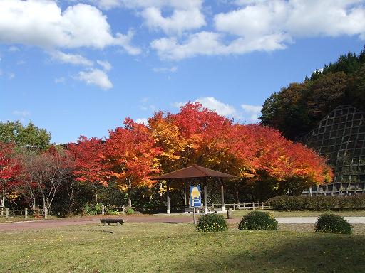 菅沢ダムその2