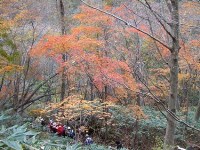 奥大山古道