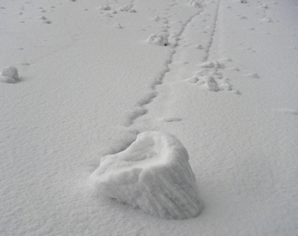 俵雪