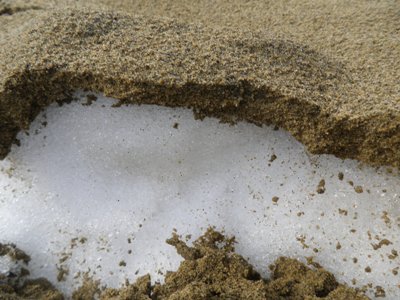砂をかぶった雪