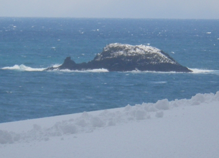 鯨島