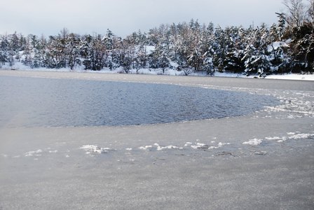 多鯰ヶ池０２