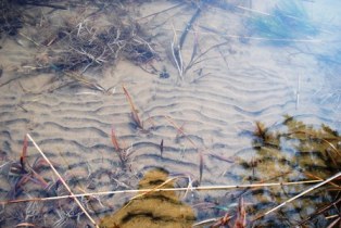 多鯰ヶ池２