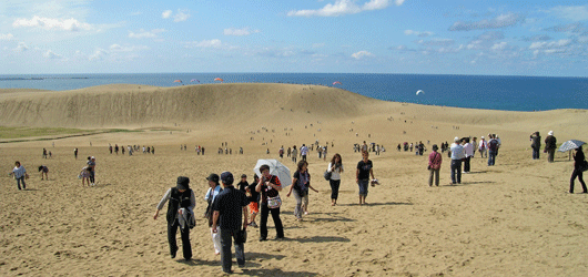 馬の背の風景