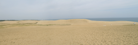 馬の背の風景
