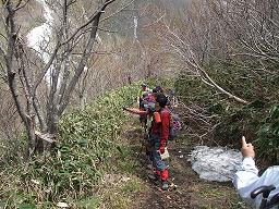 奥大山花の観察会