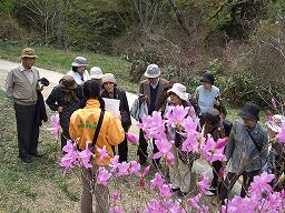 滝山公園で自然解説