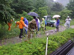 雨の中作業中