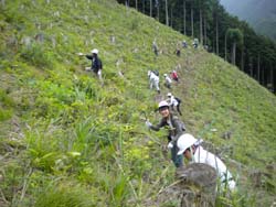 sitagari