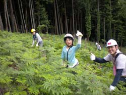 yukiokosi