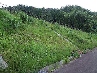 アフタ～