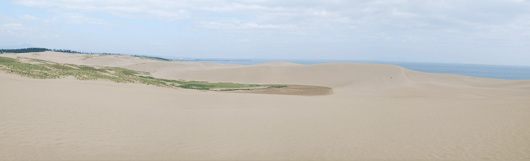 馬の背の風景