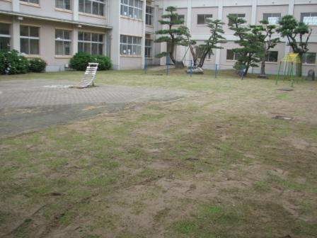 大栄小学校中庭芝張り完成